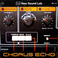 NSL006 Chorus Echo 501 Preview