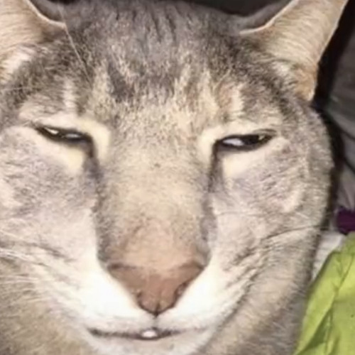 mom - noneworld slowed