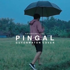 GuyonWaton - Pingal (Cover)