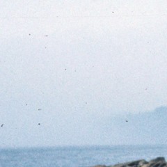 live to fly