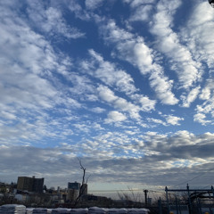 Was I Thinking of Jurassic Shark?