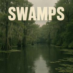 swamps
