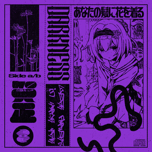 DΛRKNΣSS - your victim