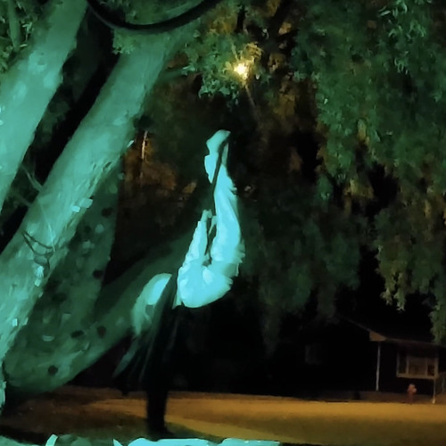 fallin' (like when in Rome)