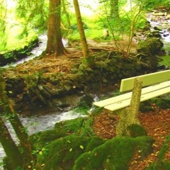 Secret Garden