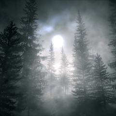 In Moonlight Mist