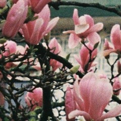 28 17h41m16- Así Pienso Yo - Mixset - 2020 - Gomxz