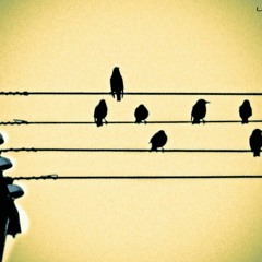 Yandığı Kadar - Bana Gelmez