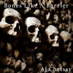 Bones Like A Barrier