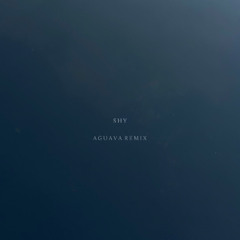 Shy - Aguava Remix