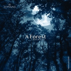 A Forest (Quiet River Mix)