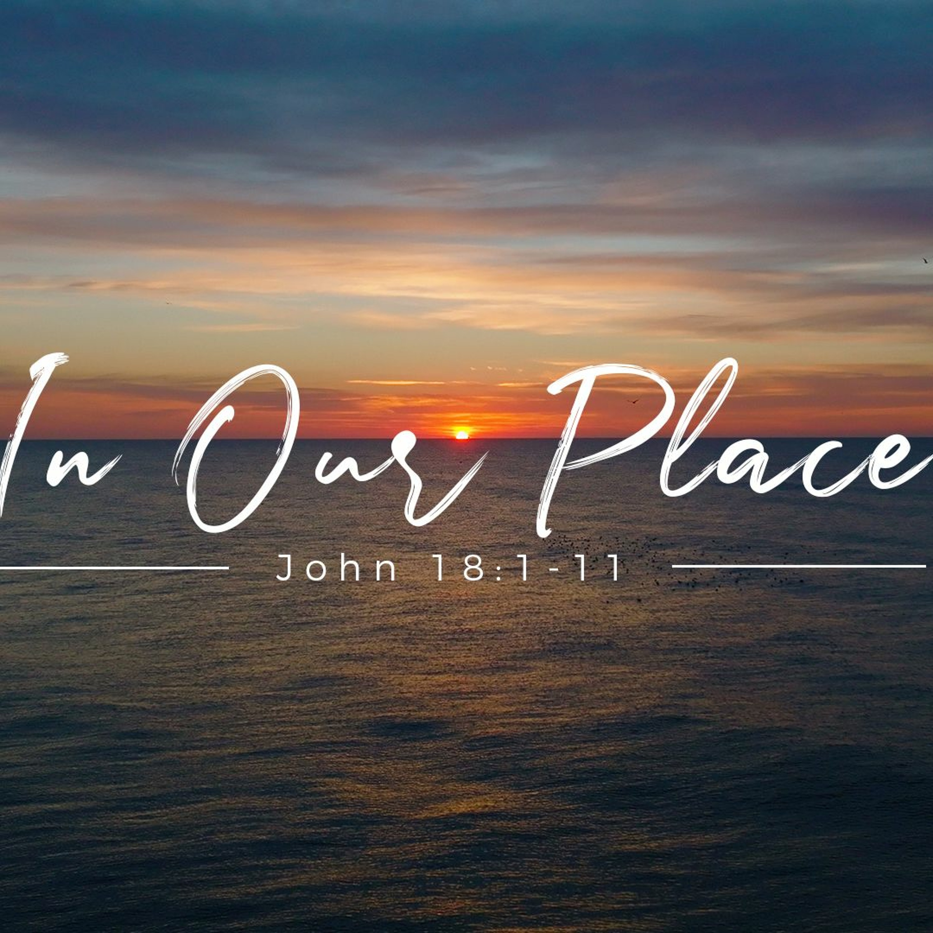 IN OUR PLACE | Pastor Bruce Garner | 4.10.2022 episode artwork