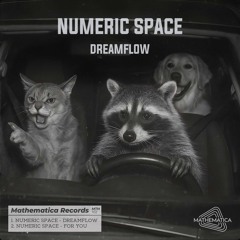 MTH102 Numeric Space - Dreamflow