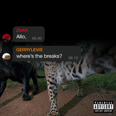 Allo, where's the breaks? (ZAAR & GERRYLEVIS Edit)