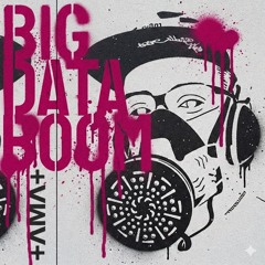 Big Data Boom