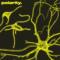 polarity. [free DL]