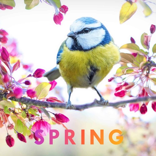 Spring