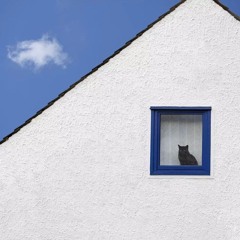 Emotional Tourist - The One With The Black Cat And The Blue Sky