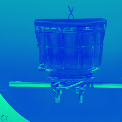 Jangguwave