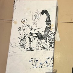 SET 2 (The Robin Tapes)