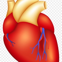 heartplay (prod.nickisgonenow)