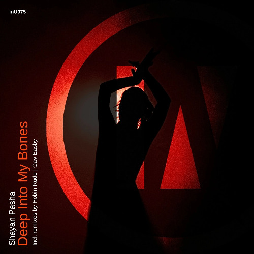 PREMIERE: Shayan Pasha - Deep Into My Bones (Hobin Rude Remix) [inU]