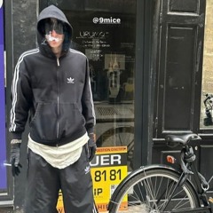 9mice-Zip Code(full snipp)