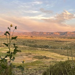 forget her-jeff buckley cover