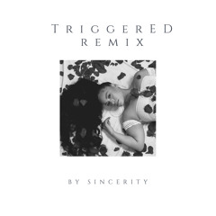 Sincerity - Triggered Remix