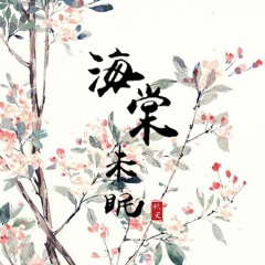 秩厌《海棠未眠》 Blooming Begonia