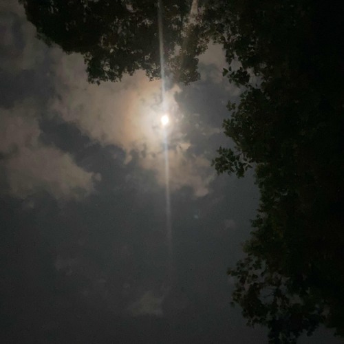 DANE.-need you right here