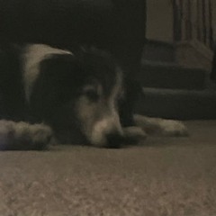 As que o coração sente...