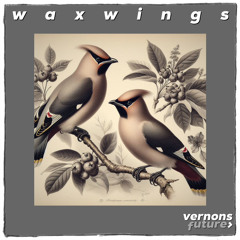 Waxwings