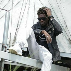 Une panthère Touché peut Tué