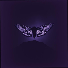 Death Moth  Cvlt  -13 013 Void 13 Suicidal Kings & Queens