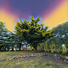 El Árbol De Los Sueños