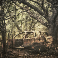 Pleasant Test Valley Sunday or is it Tuesday?