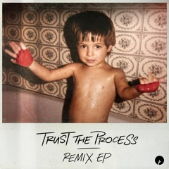 Dombresky - Trust The Process (Boston Bun Remix)