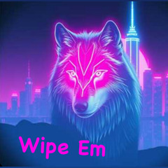 Wipe Em
