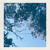 Artwork for somewhere out of reach