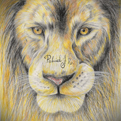 Lion's Dream