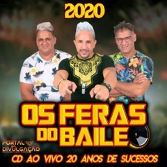 OS FERAS DO BAILE-DEIXA ROLAR-BY ALCIDONIO