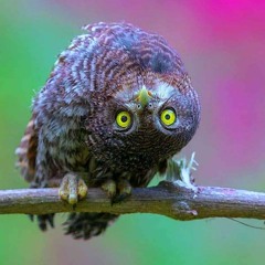 ТИ - БКкК prod. PushkinBeats