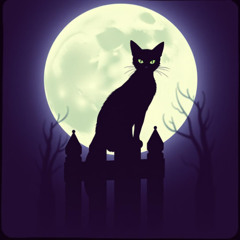 Black Cat Magic