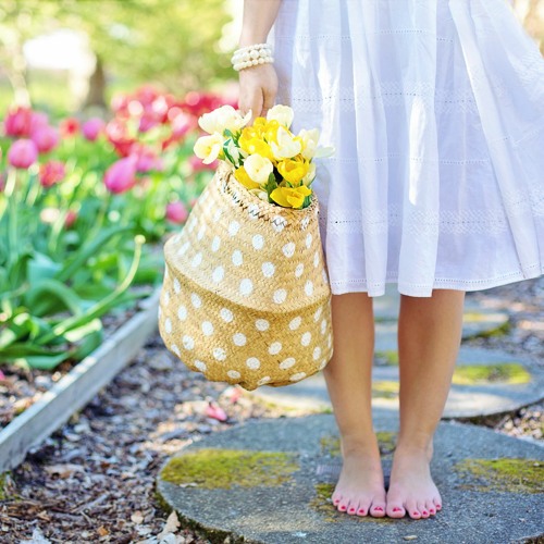Meditation On Spring