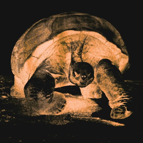 Rx Papi Rx Nephew - Broken Spanish (Chopped)