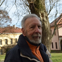 La historia de al-Ándalus en el medievo peninsular. Homenaje a Pedro Chalmeta