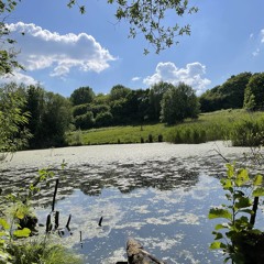 akaJazy - Sitting Next to a Pond in Spring Whilst the Sun Shines on My Face