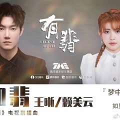 赖美云/王晰 - 如翡