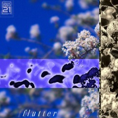 flutter (ft. DAY21)